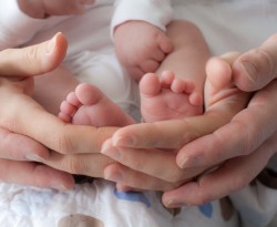 Šveicarijos kamieninių ląstelių bankas
